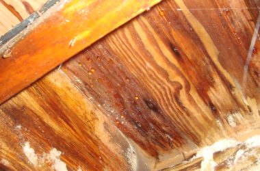wet crawl space