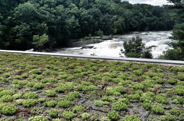 vegetated roof