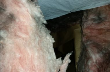 fiberglass insulation