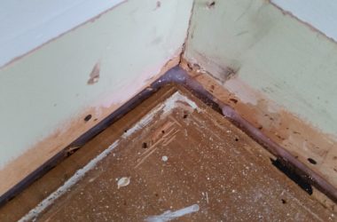 Caulk Floors