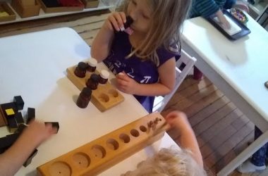 Montessori School of Charlottesville