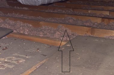 attic insulation